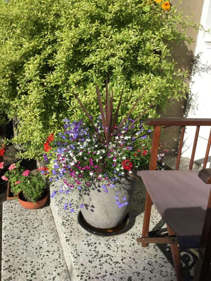 דאנדי Alberta Guest House מראה חיצוני תמונה